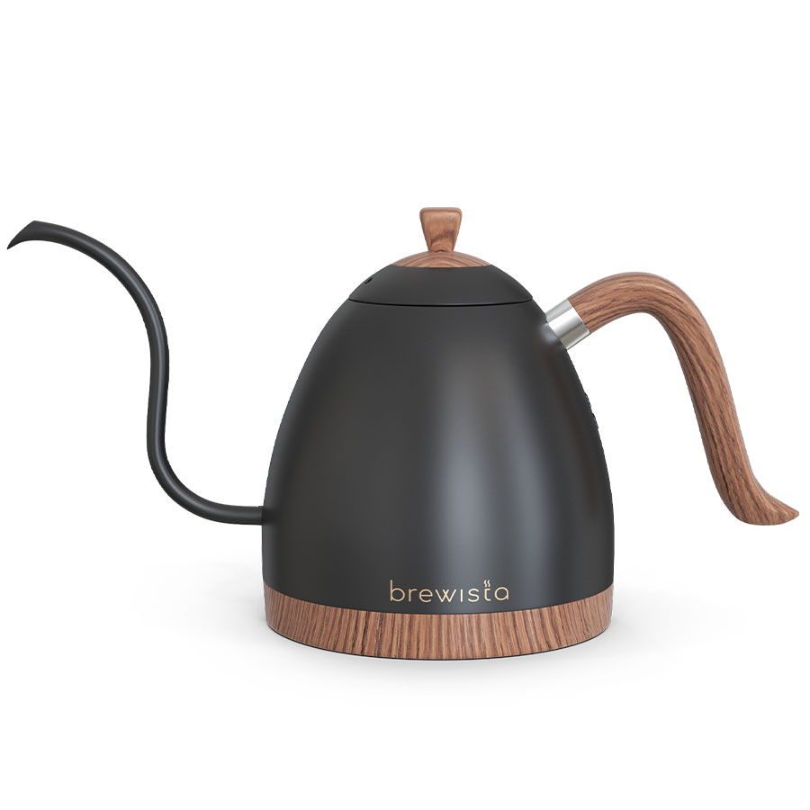 Brewista Artisan 0.6L Gooseneck Variable Kettle - Matte